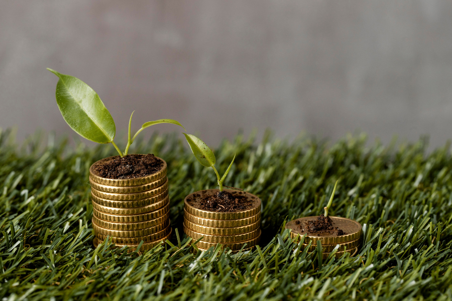 green finance - freepik