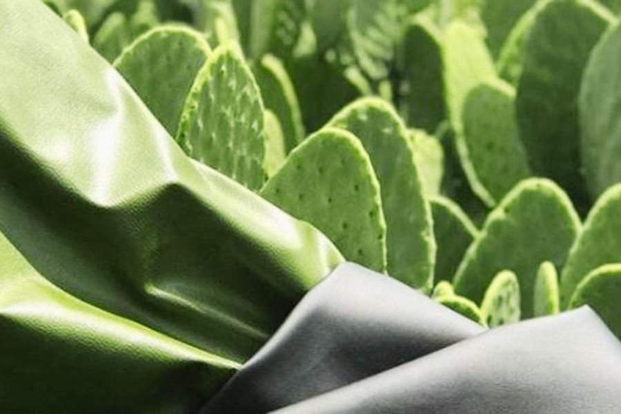 Cactus leather -desserto.pelle