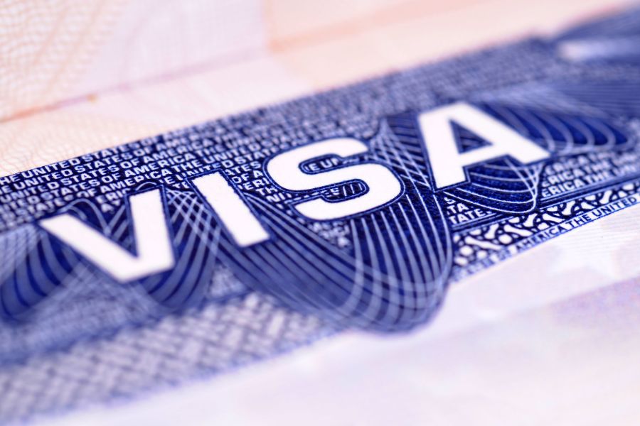 visa freepik_tpci Indian IT firms H-1B visas