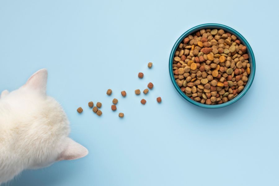 pet food - freepik