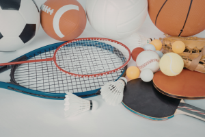 India sports equipment_TPCI