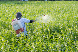 Glufosinate imports_TPCI